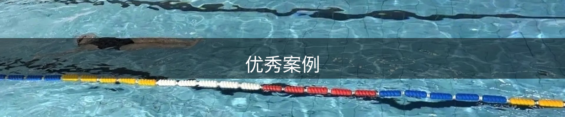 优秀案例